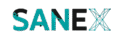 sanexsolution.com