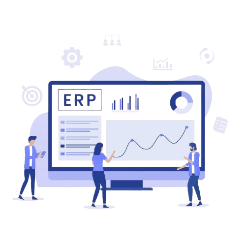 ERP System services